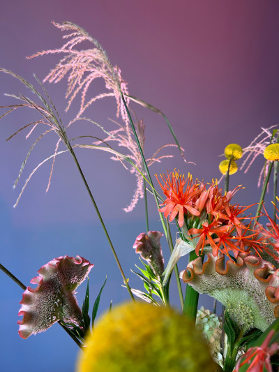Detail eines Strauß auf verschiedenen Blumen